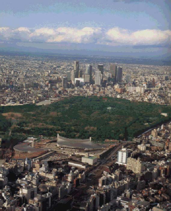 P3-1.JPG - 71,835BYTES