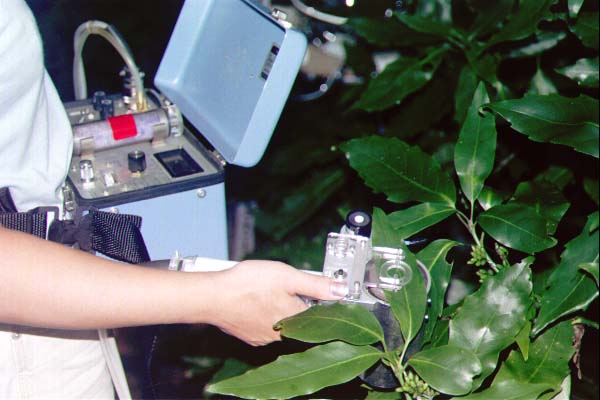 P3-3.JPG - 43,023BYTES