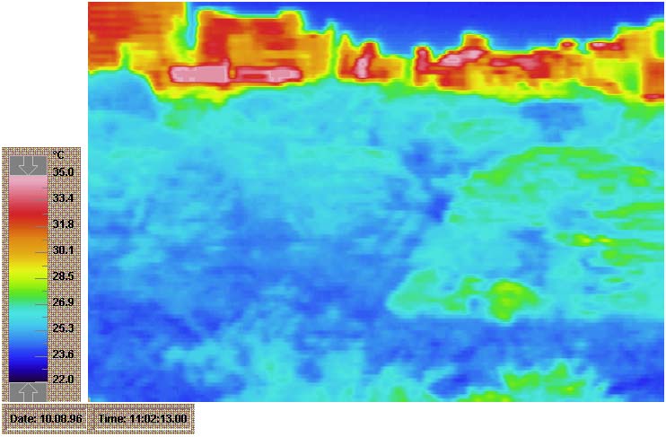 P3-4.JPG - 57,432BYTES