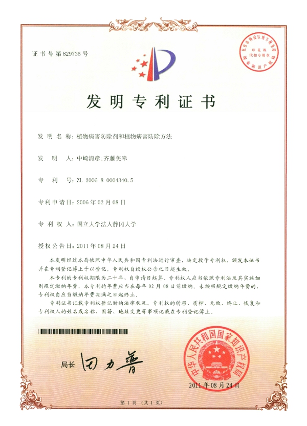 patent image