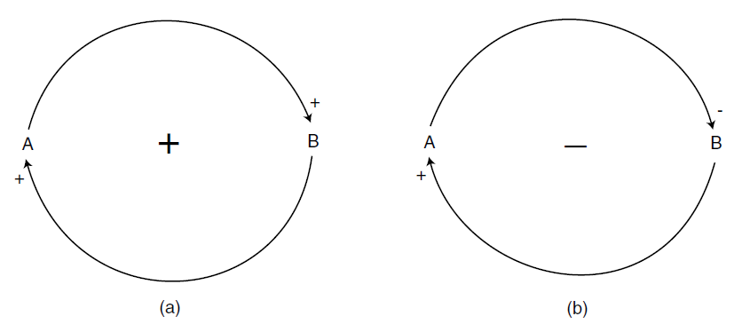 Figure 3.2 Positive (a) and negative (b) feedback loop