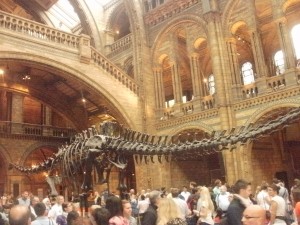 National History Museum