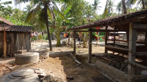DSC04405
