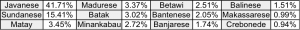 ethnicgroup in indonesia
