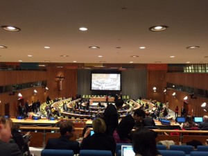 The Intergovernmental Negotiations on SDGs Goals and Targets