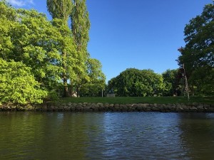IMG_0206
