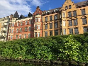 IMG_0212