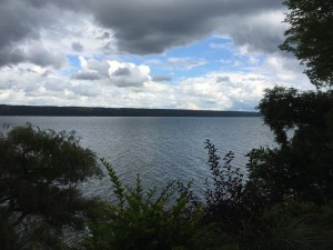 IMG_5024